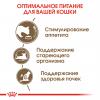 Royal Canin Ageing 12+ (для кошек старше 12 лет)