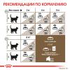 Royal Canin Ageing 12+ (для кошек старше 12 лет)