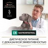 Pro Plan Veterinary Diets EN Gastrointestinal (сухой корм для собак при расстройствах пищеварения)