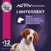Eukanuba Puppy Medium Breed (для щенков средних пород от 1 до 12 месяцев, с птицей)