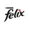 Felix