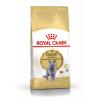 Royal Canin British Shorthair Adult (для взрослых британских короткошерстных кошек)