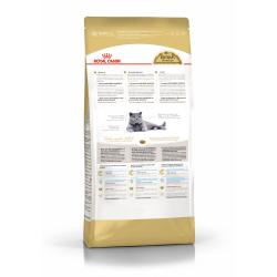 Royal Canin British Shorthair Adult (для взрослых британских короткошерстных кошек)