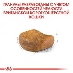 Royal Canin British Shorthair Adult (для взрослых британских короткошерстных кошек)