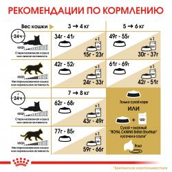 Royal Canin British Shorthair Adult (для взрослых британских короткошерстных кошек)