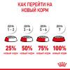 Royal Canin Kitten (для котят в возрасте до 12 месяцев)