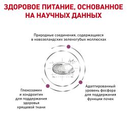 Royal Canin Mobility Feline (для кошек при заболеваниях суставов)