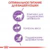Royal Canin Sterilised 7+ (для стерилизованных кошек старше 7 лет)
