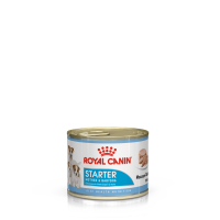Royal Canin Starter Mother & Babydog Mousse (мусс для сук и щенков до 2 месяцев)