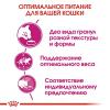 Royal Canin Exigent Savour Sensation  (для кошек, привередливых к ВКУСУ продукта)