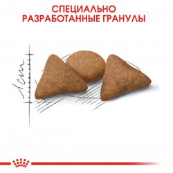 Royal Canin Indoor Appetite Control (для кошек  от 1 года до 7 лет, живущих в помещении и склонных к перееданию)