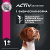Eukanuba Adult Medium Breed (для взрослых собак средних пород от года и старше, с птицей)