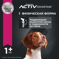 Eukanuba Adult Medium Breed (для взрослых собак средних пород от года и старше, с птицей)