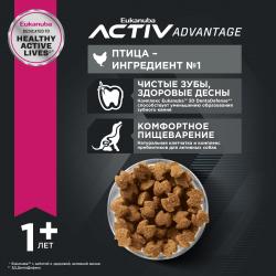 Eukanuba Adult Medium Breed (для взрослых собак средних пород от года и старше, с птицей)